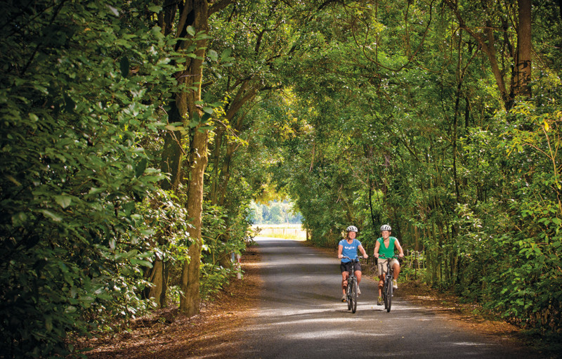 riding on back roads of New Zealand on bikes