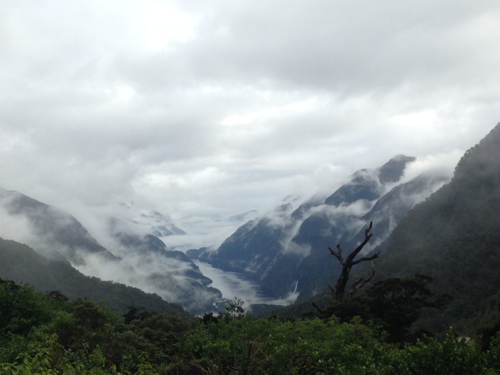 cloudy view of Doubtful Sound