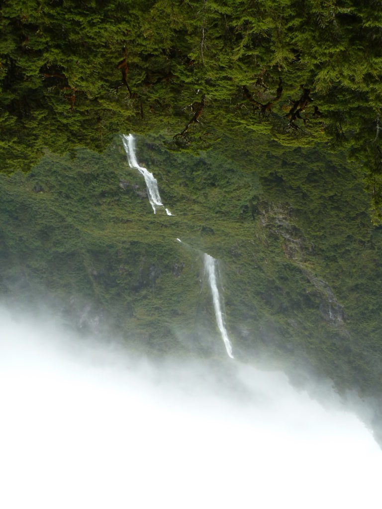 Doubtful sound waterfall